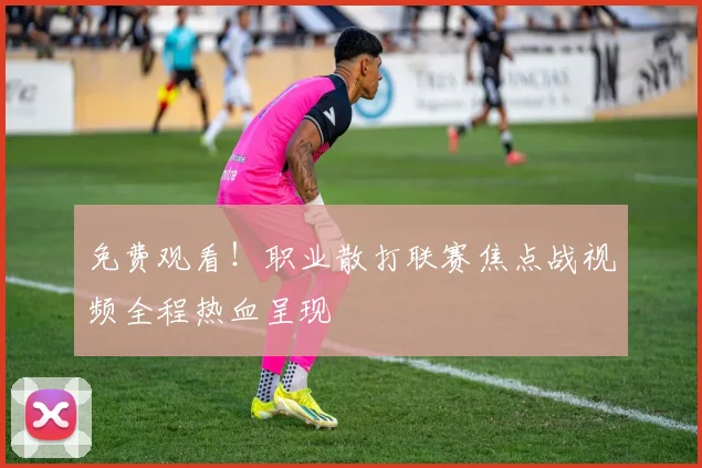 免费观看！职业散打联赛焦点战视频全程热血呈现