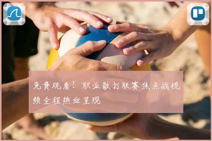 免费观看！职业散打联赛焦点战视频全程热血呈现