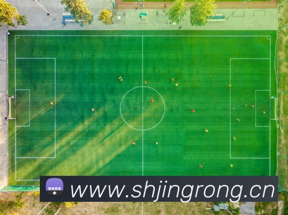 星空体育综合体育官网入口平台生态图